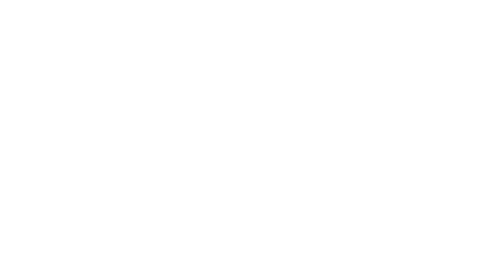 solvstat logo